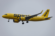 Spirit Airlines Airbus A320-271N (N986NK) at  Dallas/Ft. Worth - International, United States