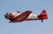 Aeroshell Aerobatic Team North American AT-6C Texan (N991GM) at  Lakeland - Regional, United States