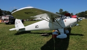 (Private) Luscombe 8A Silvaire (NC25174) at  Oshkosh - Wittman Regional, United States