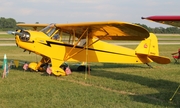 (Private) Piper J3C-65 Cub (NC88462) at  Oshkosh - Wittman Regional, United States
