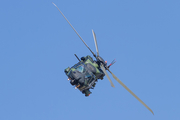 Finnish Air Force NH Industries NH90-TTH (NH-219) at  RAF Fairford, United Kingdom