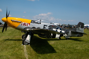 (Private) North American TF-51D Mustang (NL151MC) at  Oshkosh - Wittman Regional, United States