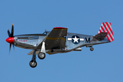 Collings Foundation North American P-51C Mustang (NL251MX) at  Dallas - Love Field, United States
