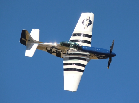 (Private) North American TF-51D Mustang (NL351DT) at  Jacksonville - NAS, United States