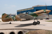 Cavanaugh Flight Museum Curtiss P-40N Warhawk (NL40PN) at  Dallas - Addison, United States