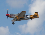 (Private) North American P-51D Mustang (NL51MV) at  Titusville - Spacecoast Regional, United States