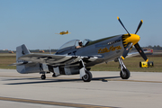 (Private) North American P-51D Mustang (NL51PE) at  Ellington Field - JRB, United States