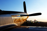 (Private) North American P-51D Mustang (NL51PE) at  Ellington Field - JRB, United States
