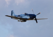 (Private) North American P-51D Mustang (NL51VL) at  Witham Field, United States