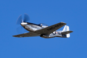 (Private) North American TF-51D Mustang (NL551CF) at  Seattle - Boeing Field, United States