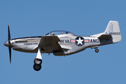 (Private) North American TF-51D Mustang (NL551CF) at  Seattle - Boeing Field, United States