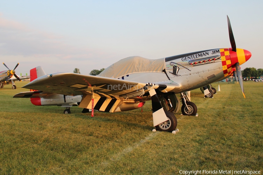 (Private) North American P-51D Mustang (NL551J) | Photo 304684