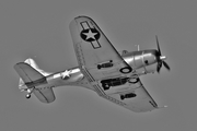 Commemorative Air Force Douglas SBD-5 Dauntless (N82GA) at  Pensacola - NAS, United States