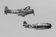 Commemorative Air Force Douglas SBD-5 Dauntless (N82GA) at  Pensacola - NAS, United States