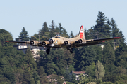 Collings Foundation Boeing B-17G Flying Fortress (NL93012) at  Seattle - Boeing Field, United States