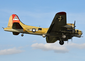 Collings Foundation Boeing B-17G Flying Fortress (NL93012) at  Dallas - Love Field, United States