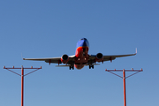 Southwest Airlines Boeing 737-7H4 (N***SW) at  Dallas - Love Field, United States