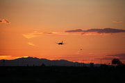 Southwest Airlines Boeing 737-7H4 (N***SW) at  Phoenix - Sky Harbor, United States