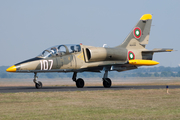 Cold War Air Museum Aero L-39ZA Albatros (NX107ZA) at  Draughon-Miller Central Texas Regional Airport, United States