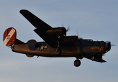 Collings Foundation Consolidated B-24J Liberator (NX224J) at  Dallas - Love Field, United States