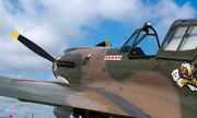 (Private) Curtiss P-40E Warhawk (NX40PE) at  Oshkosh - Wittman Regional, United States