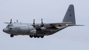 Royal New Zealand Air Force Lockheed C-130H Hercules (NZ7003) at  Luqa - Malta International, Malta