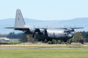 Royal New Zealand Air Force Lockheed C-130H Hercules (NZ7003) at  Ohakea RNZAF Base, New Zealand
