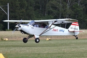 (Private) Piper PA-12-125 Super Cruiser (OE-AAA) at  Bienenfarm, Germany