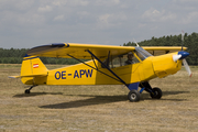 (Private) Piper PA-18-150 Super Cub (OE-APW) at  Wilsche - Gifhorn, Germany