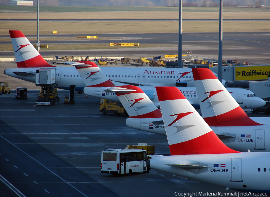 Austrian Airlines Airbus A321-211 (OE-LBE) | Photo 24268