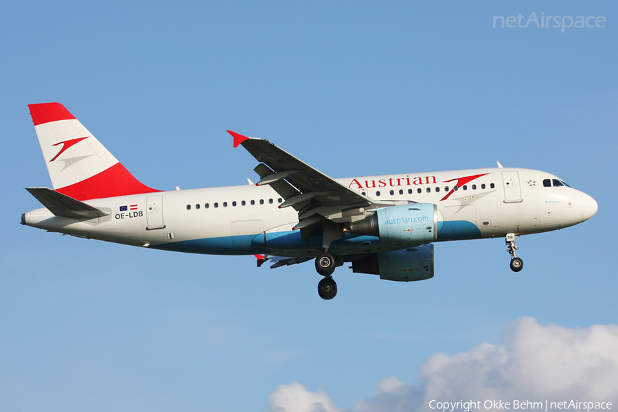 Austrian Airlines Airbus A319-112 (OE-LDB) | Photo 52936