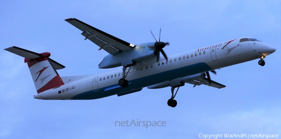 Austrian Airlines Bombardier DHC-8-402Q (OE-LGJ) | Photo 445089