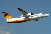 Tyrolean Airways de Havilland Canada DHC-8-311A (OE-LLW) at  Frankfurt am Main, Germany