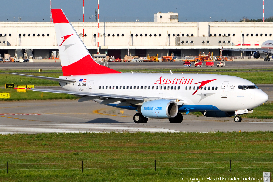 Austrian Airlines Boeing 737-6Z9 (OE-LNL) | Photo 311152