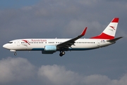 Austrian Airlines Boeing 737-8Z9 (OE-LNQ) at  Hamburg - Fuhlsbuettel (Helmut Schmidt), Germany