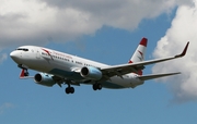 Austrian Airlines Boeing 737-8Z9 (OE-LNQ) at  London - Heathrow, United Kingdom