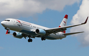 Austrian Airlines Boeing 737-8Z9 (OE-LNQ) at  London - Heathrow, United Kingdom