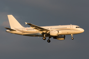 Tyrolean Jet Service Airbus A319-115X CJ (OE-LOV) at  New York - John F. Kennedy International, United States