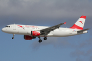 Austrian Airlines Airbus A320-216 (OE-LXB) at  Hamburg - Fuhlsbuettel (Helmut Schmidt), Germany