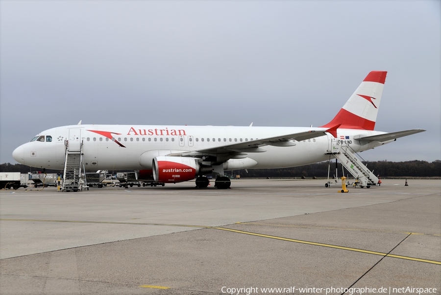 Austrian Airlines Airbus A320-216 (OE-LXD) | Photo 519684