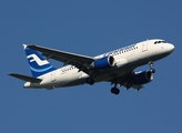 Finnair Airbus A319-112 (OH-LVG) at  Pisa - Galileo Galilei, Italy