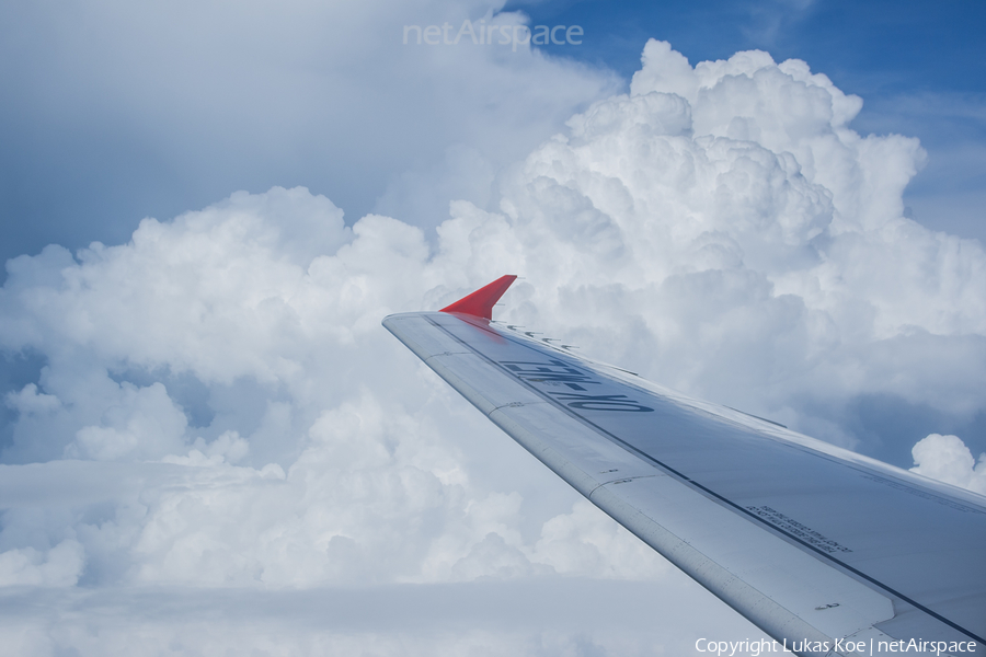 CSA Czech Airlines Airbus A319-112 (OK-MEL) | Photo 165690