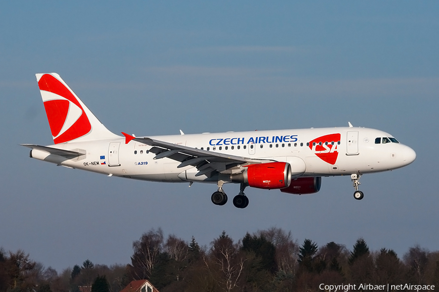 CSA Czech Airlines Airbus A319-112 (OK-NEM) | Photo 224084