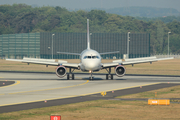 CSA Czech Airlines Airbus A319-112 (OK-NEN) at  Frankfurt am Main, Germany