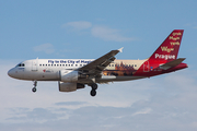 CSA Czech Airlines Airbus A319-112 (OK-NEP) at  Frankfurt am Main, Germany