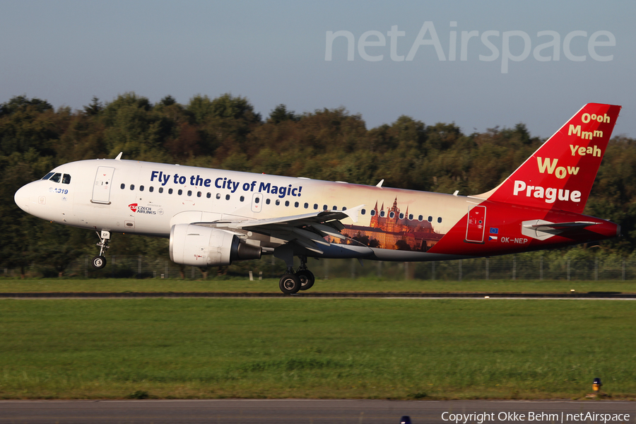 CSA Czech Airlines Airbus A319-112 (OK-NEP) | Photo 125727