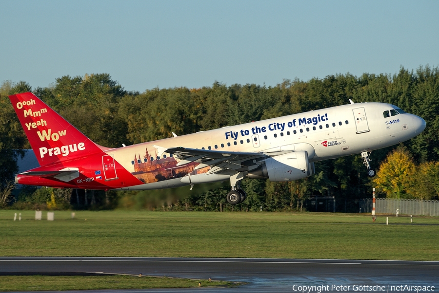 CSA Czech Airlines Airbus A319-112 (OK-NEP) | Photo 267931