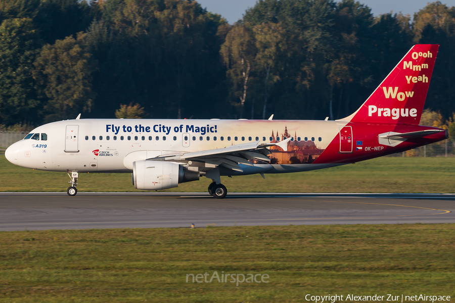 CSA Czech Airlines Airbus A319-112 (OK-NEP) | Photo 268747