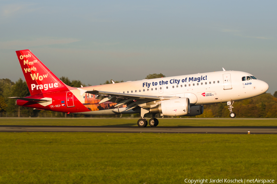 CSA Czech Airlines Airbus A319-112 (OK-NEP) | Photo 429861