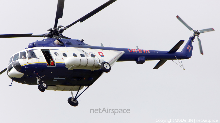 Slovak Government Flying Service Mil Mi-171C Hip-H (OM-BYH) | Photo 507814